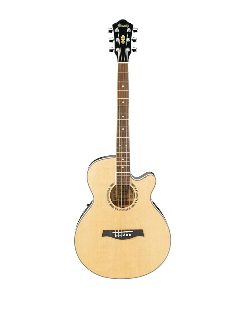 Ibanez AEG8E Acoustic Guitar, Single Cutaway, Natural: Buy