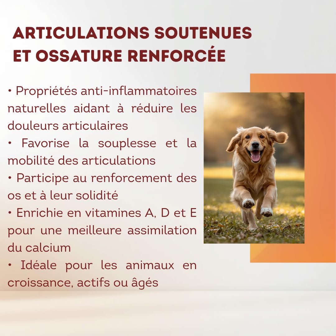 2L Huile de Sardine 100% Naturelle pour Chiens, Chats et Chevaux, Très Riche en Oméga 3-6-9 et Vitamines E | Fabriqué en UE