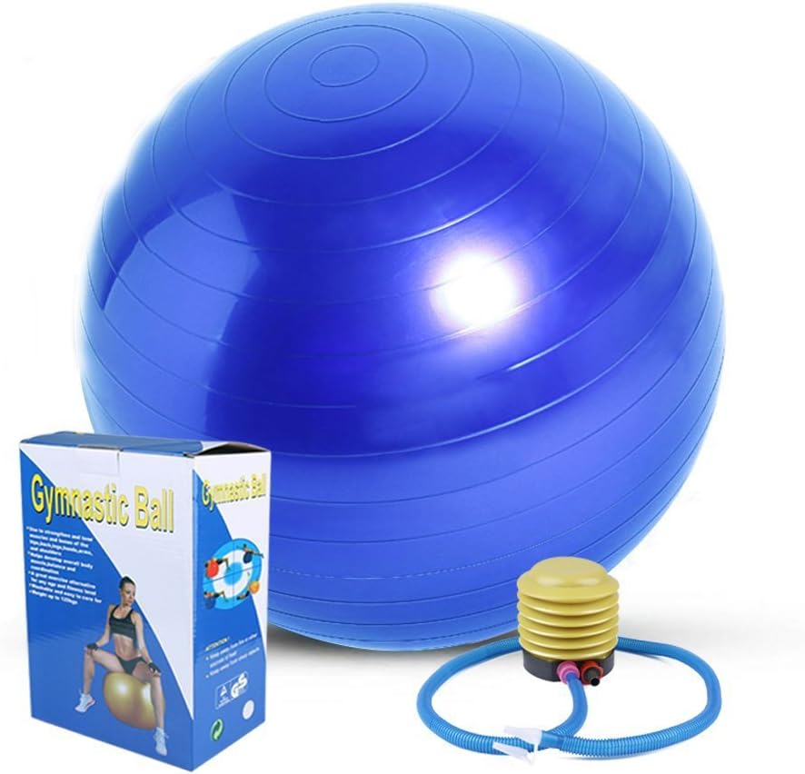 Exercise Ball Abdominal Exercise Small sports ball pump explosion-proof non-slip 55 cm size Yoga Pilates Family Exercise Like a wheel-like Tone Movement Ball Foot Pump (blue, purple) (Blue)