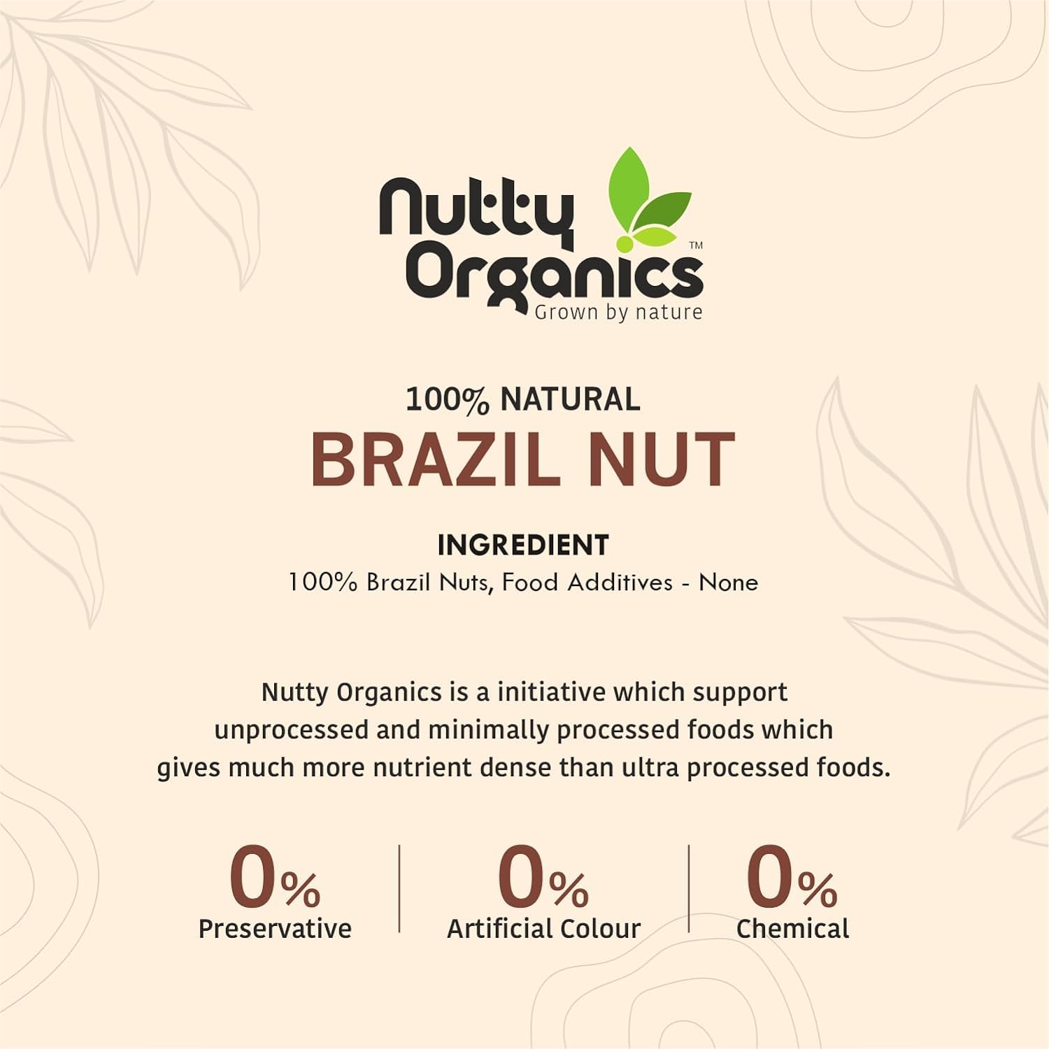 NUTTY ORGANICS Brazil Nuts - 100G (Grade A ++ Nuts, Premium Jumbo Size) - Richest Natural Source Of Selenium - Image 7 thumbnail