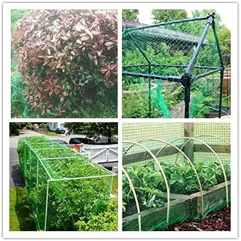 KINGLAKE 2Pcs 4x10m Green Garden Netting Green, Bird Netting Pond Plant Netting for Protecting Fruit Tree Vegetable Flowers Crops Strawberry Pea and Bean, 15x15mm Holes
