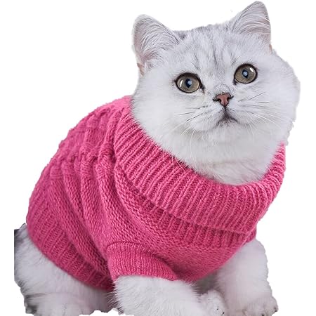 sweaters for kittens