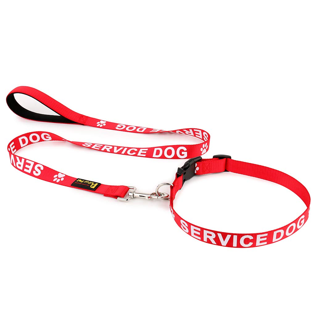 PLUTUS PETService Dog Collar and Leash Set, Printed in Large Letters on Nylon Webbing, for Large Dogs