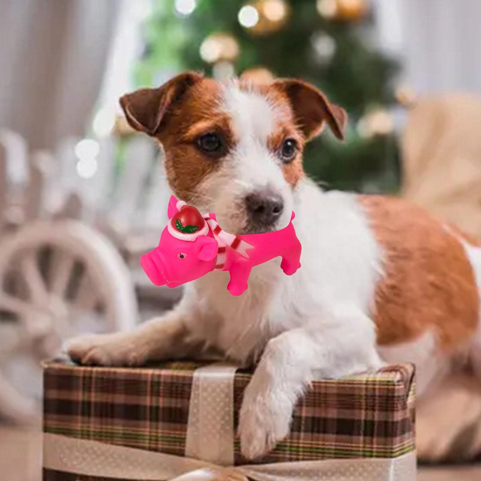 LECHONG Set van 2 kerstspeelgoed voor honden, duurzaam