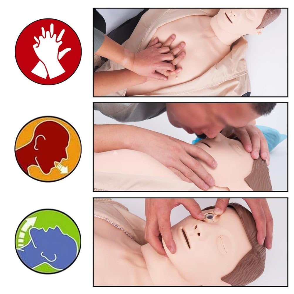 Herz-Lungen-Wiederbelebungstraining Modell Puppen Dummy Training Kit Professionelle Dummies Test Dummies Erwachsene mit mittlerer Haut MCR Medizinisches Zubehör