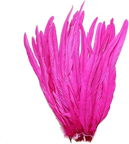 Miniatura 4 de CENFRY Nature Rooster Coque Tails Feathers - Decoración de manualidades de 12-14 pulgadas, paquete de 25 unidades (azul)