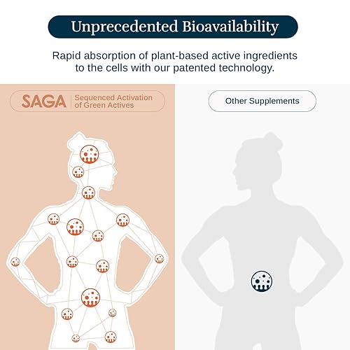 Miniatura 4 de SAGA Sunray - Tomas energéticas de zumo de hongos, bebida de impulso del estado de ánimo, suplemento nootrópico y adaptógeno, bebida funcional con