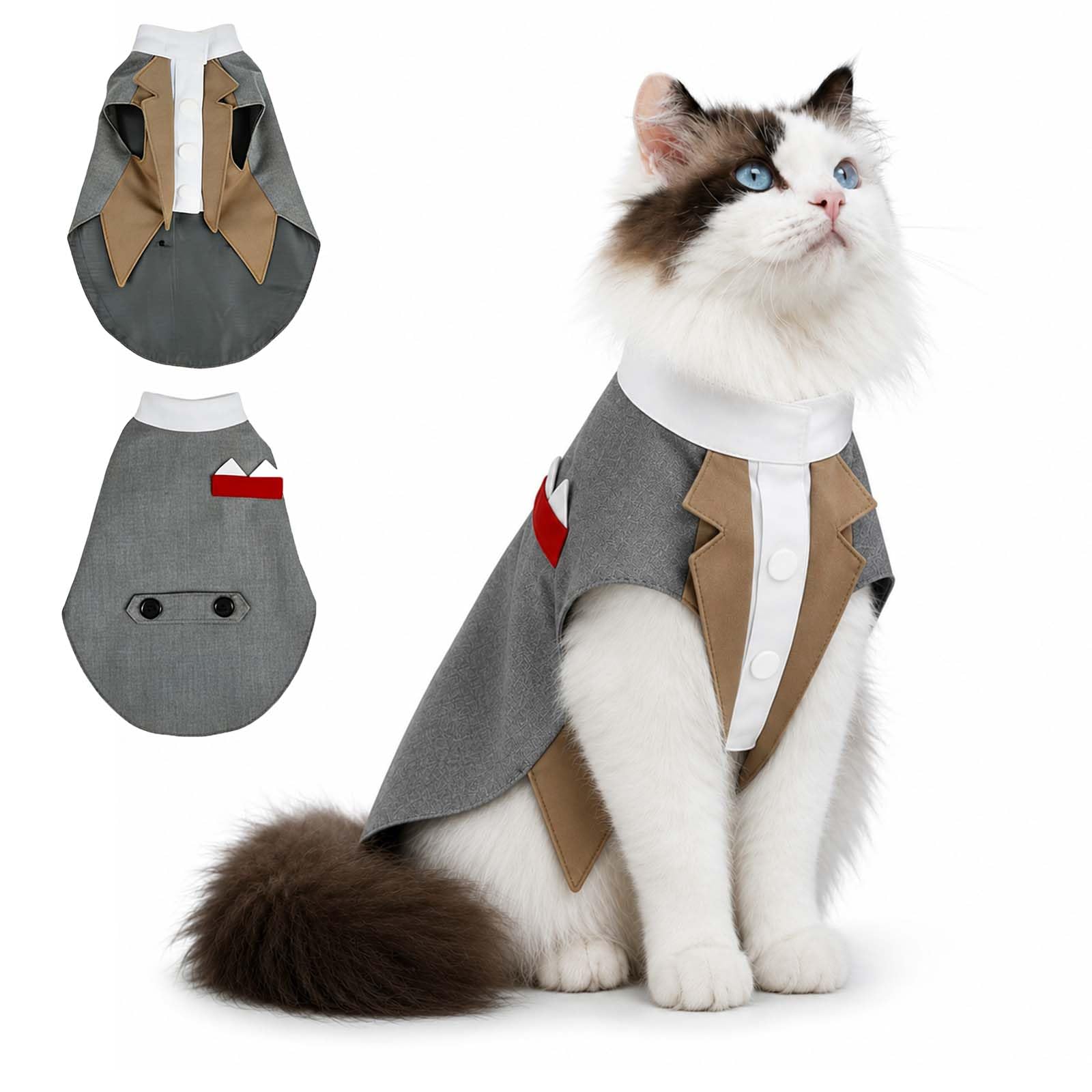 Tenue de smoking pour chat idée cadeau originale pour Noel et anniversaire