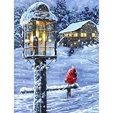 Lumières Paysage Bricolage Peinture Par Numéros Sur Toile Huile Photos Pour Adultes Acrylique Coloriage Par Numéros Décor À La Maison RTR06 60x75cm