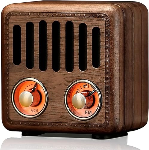 XXXDXDP Retro Classic Portable FM Radio Speaker Support TF Card Player Radios