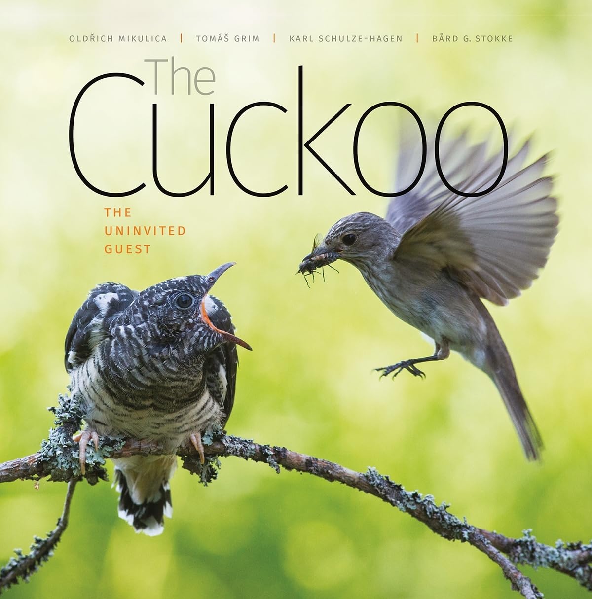 The Cuckoo: The Uninvited Guest: 6 (Wild Nature Press)