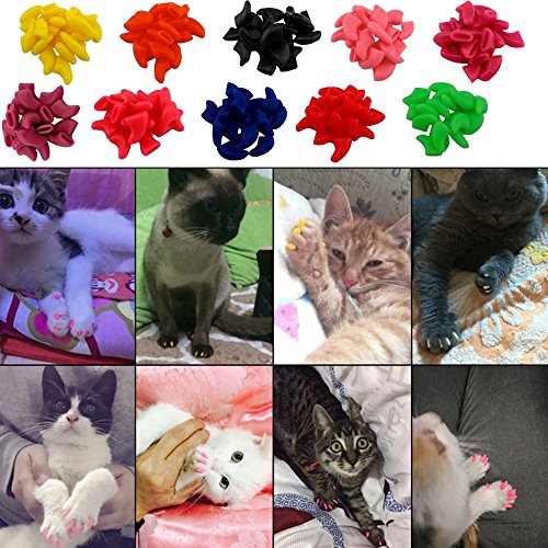 Victhy 100Pcs Cat Nail Caps, Cat Claw Caps Covers With Glue And Applicators Size Small 5 Colors, 20 Pcs/Color #TOP3