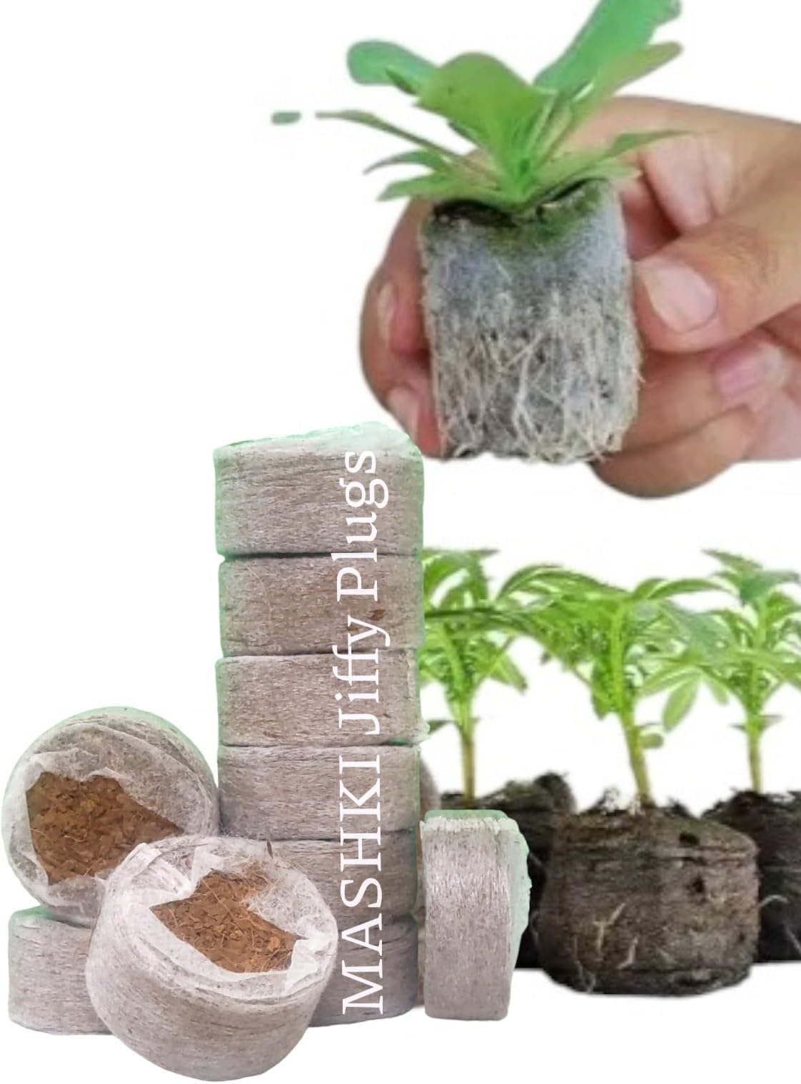 MASHKI Cocodisc Coir Coins Cocopeat Pellet for Gardening Indoor Outdoor Seedling Tray, Coco peat Disc – Suitable for Seeds Germination & Rooting’s 60mm Dia DIsc