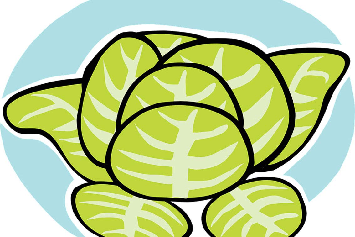 ING Wall Art Print on Canvas(32x21 inches)- Lettuce Iceberg Veggie Vegetable Leaves Salad