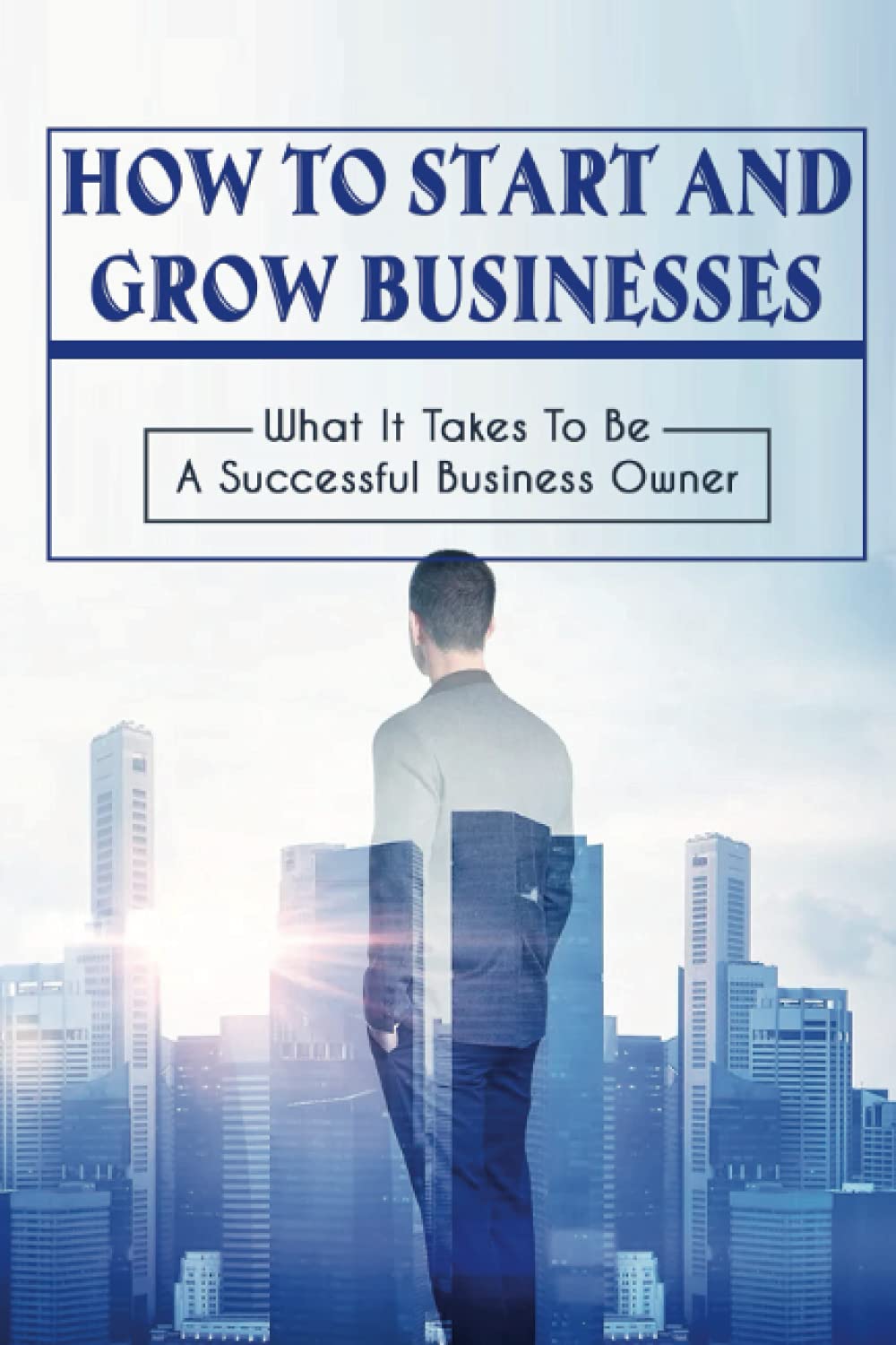 How To Start And Grow Businesses: What It Takes To Be A Successful Business Owner: Planning Your Business