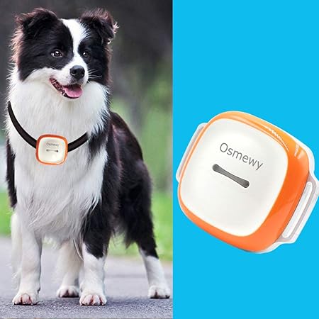 dog gps tracker amazon