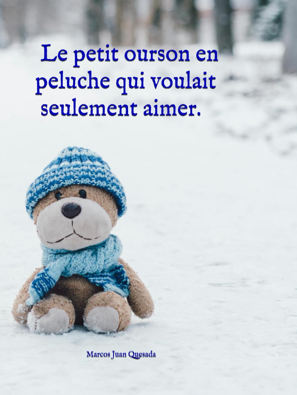 Le petit ourson en peluche qui voulait seulement aimer
