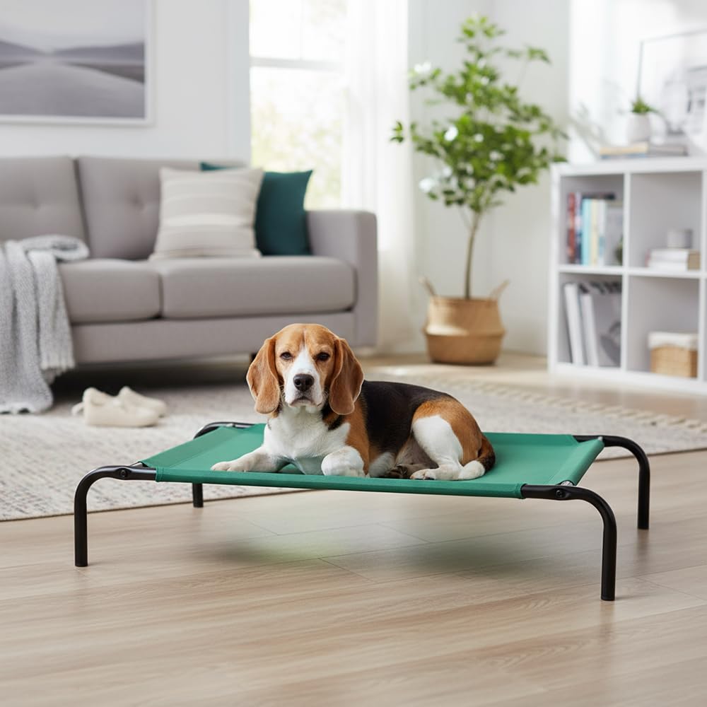 Amazon Basics Podwyższone legowisko chłodzące dla psa, z metalową ramą, M, 109,22 x 66,04 x 19,05 cm, zielone