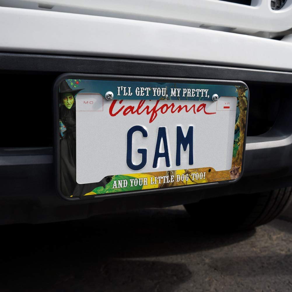 GRAPHICS & MORE Wizard of Oz Wicked Witch Character License Plate Tag Frame