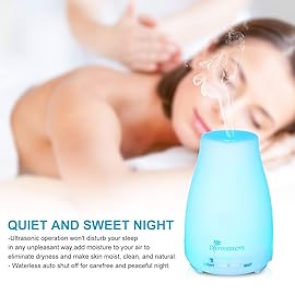 Diffuserlove 2 Pack 200ml Essential Oil Diffuser Ultrasonic Aromatherapy Diffuser with Waterless Auto Shut-Off Aroma Cool Mist Humidifiers with 6 Bottles of Natural Essential Oils /7 Color LED Lights