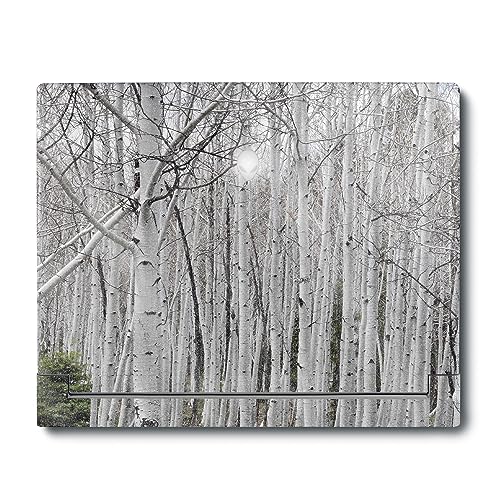 MightySkins Glossy Glitter Skin Compatible with Alienware X16 R1 (2023) Full Wrap Kit - Birch Forest | Protective, Durable High-Gloss Glitter Finish | Easy to Apply & Change Styles | Made in The USA