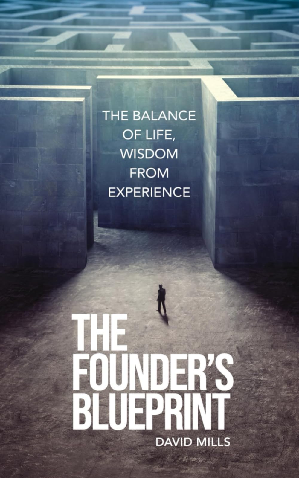 The Founders Blueprint: The balance of life Wisdom from experience