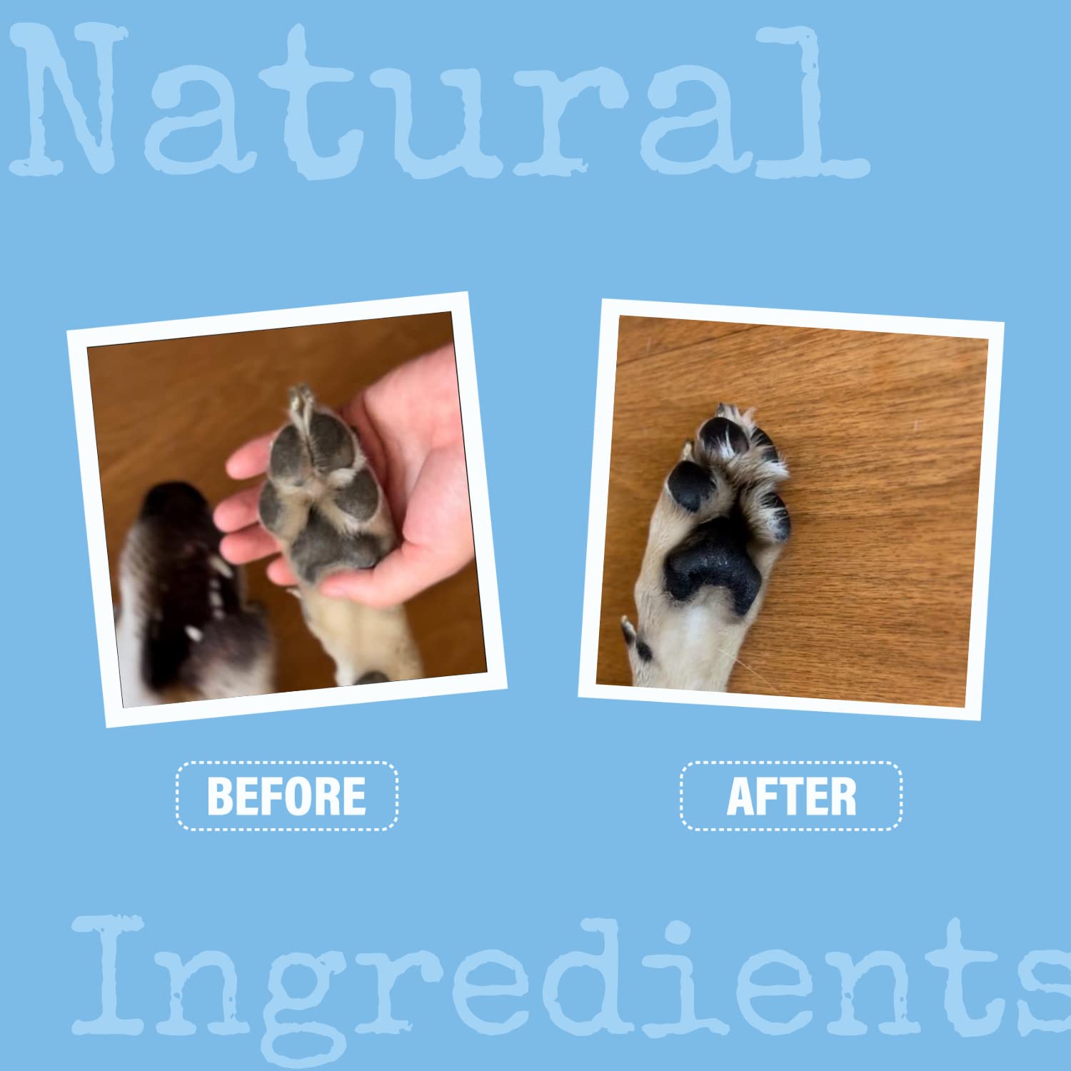 100ML Dog Nose & Paw Balm Paw Protector | Paw Balm for Dogs | Dog Paw Moisturiser Dog Paw Balm Moisturises and Conditions and Relieves Dry and Cracked Pads | Ingredienti di grado alimentare
