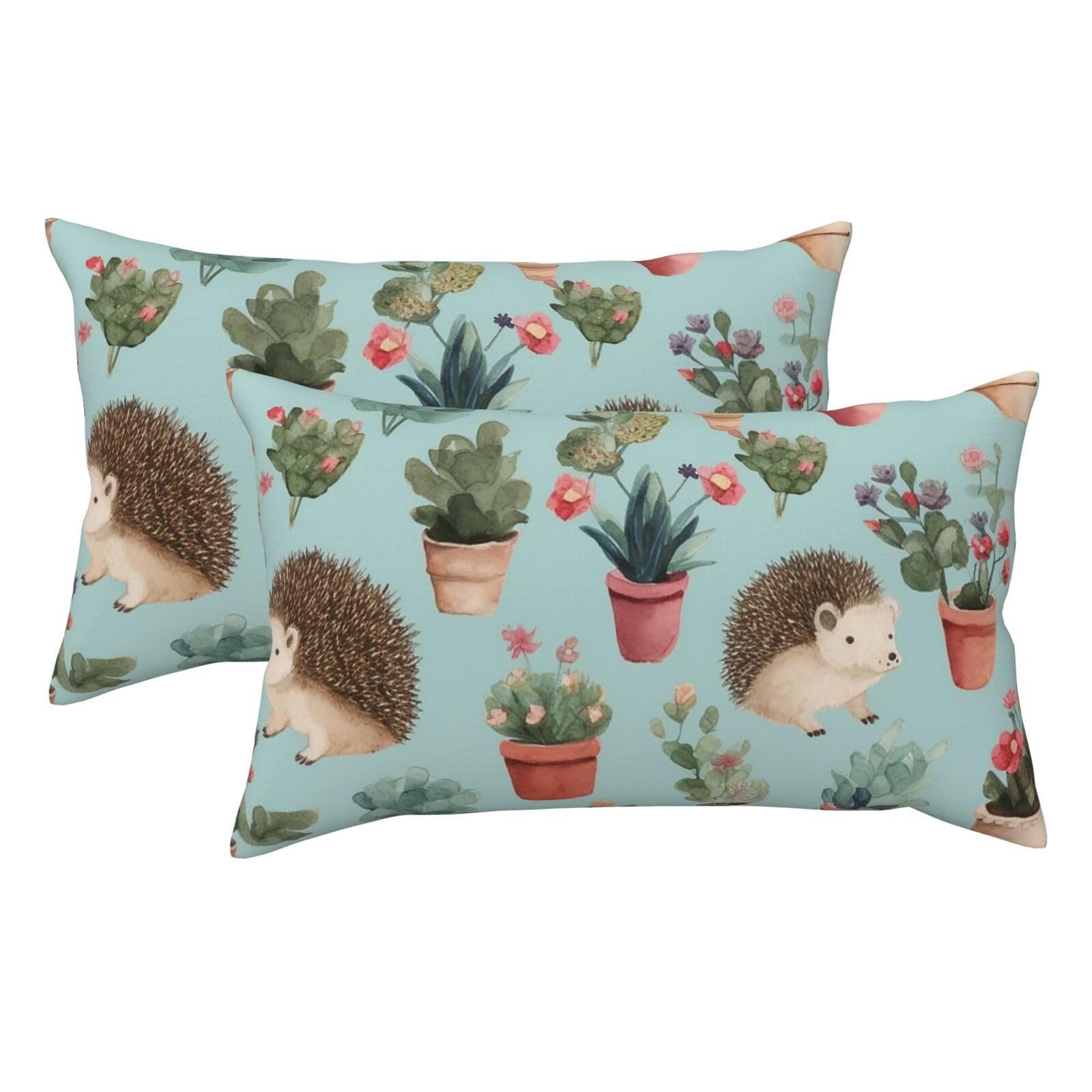 2 Pack King Size Pillow Cases for Hair and Skin Soft Breathable Pillow Case Covers with Hidden Zipper Hedgehog Potted Flower Pillowcase 20x36 Inches Pillow Covers for Sleeping Gift