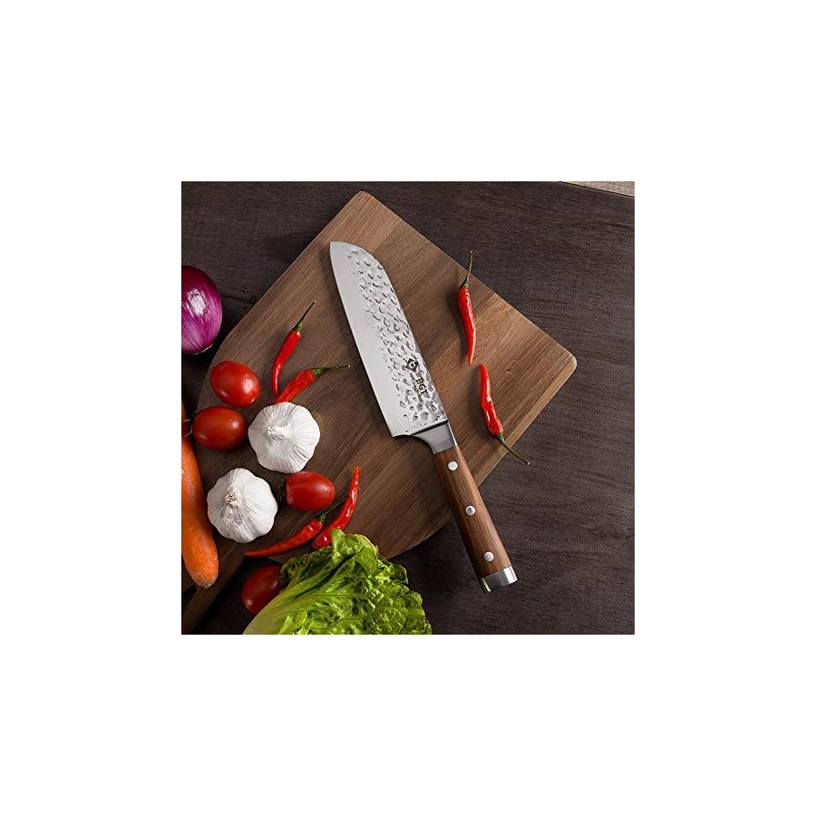 BGT Japanese 67 Layer High Grade VG-10 Super Damascus Steel Knives, Sharp, Teak Handle Professional Hammered Kitchen Knife Set with Knife Roll Bag 6Pcs Set (Silver Blade)