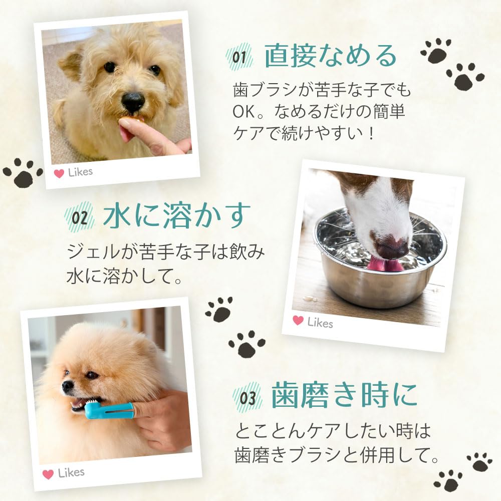 Amazon.co.jp: 犬 歯周病ケア 日本製 歯磨きジェル 犬歯周病菌を99.99