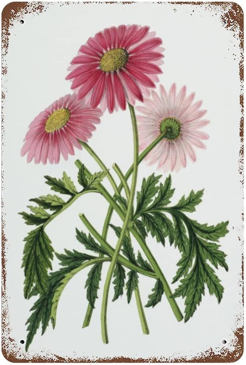 peiyeety Vintage Metal Tin Sign Gerbera Print Flower Pink Botanical Garden Flower Home Decor Funny Novelty Kitchen Bar Club Garage Garden Farm Wall Art Tin Signs On Holidays 8"x12"