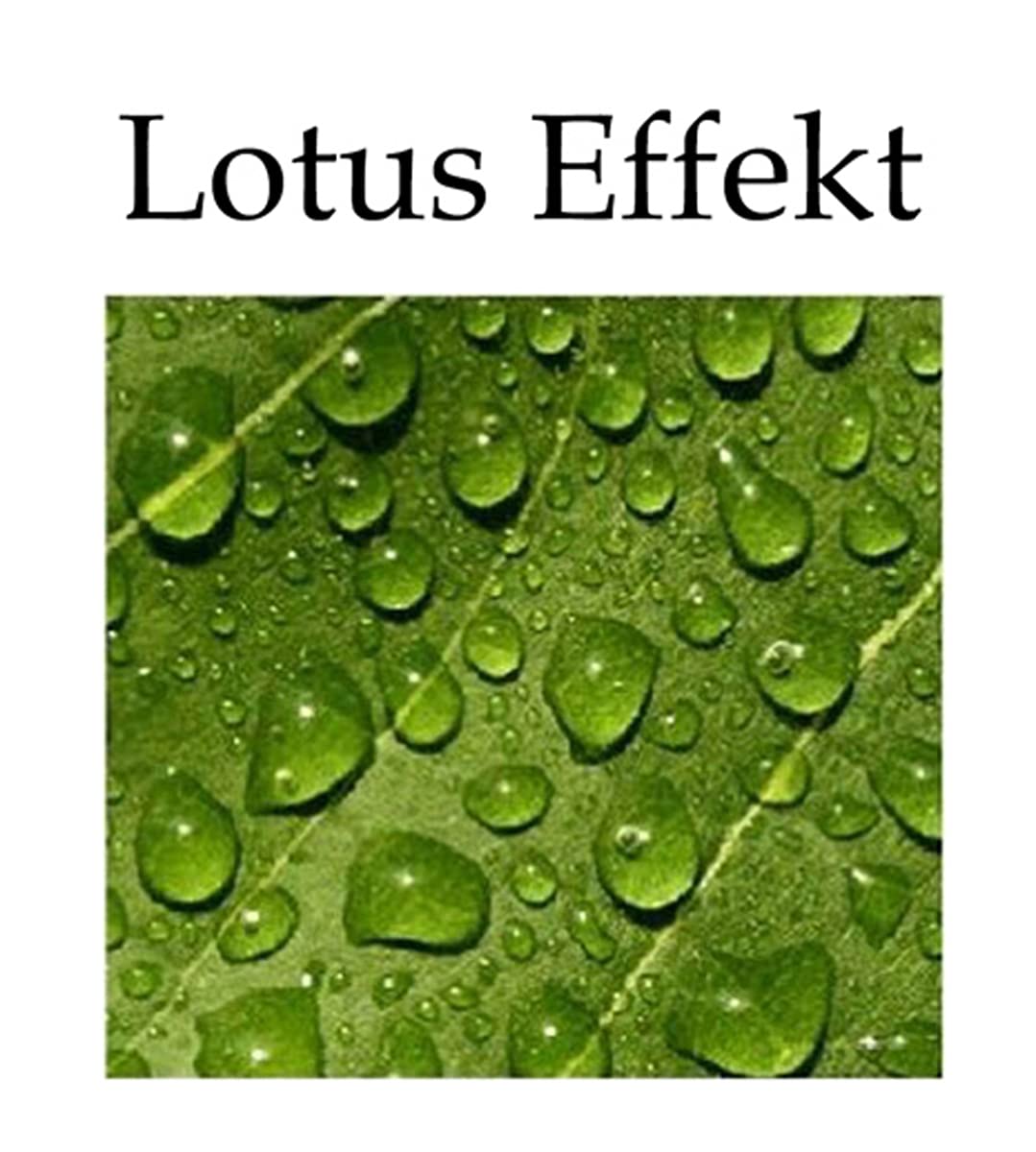 heimtexland ® Outdoorkissen Bedruckt 45x45 Garten Lounge Dekokissen Outdoor Lotus Effekt Typ742 Maritim Sonnenuntergang