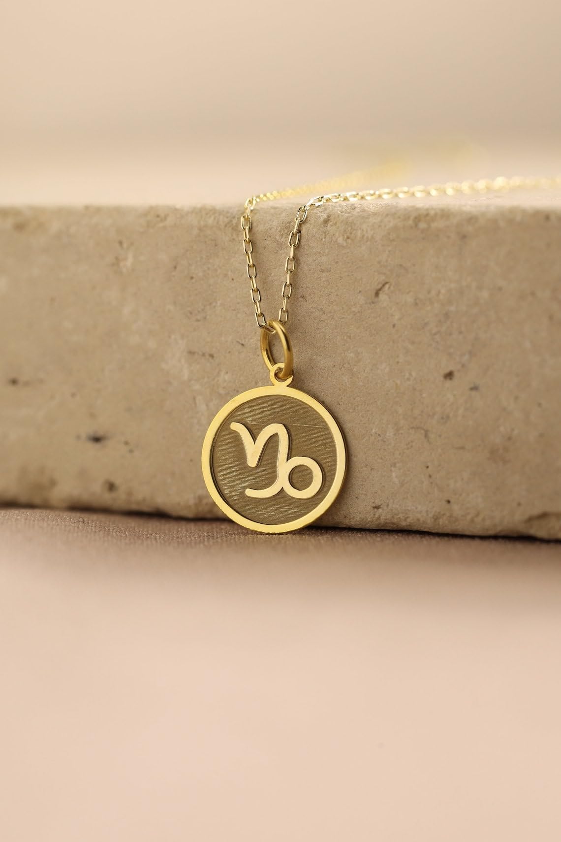 Collar de plata de ley 925 de 24 mm, cadena de 45,7 cm, collar del zodiaco Capricornio, colgante de moneda con símbolo del zodiaco de Capricornio cepillado, colgante del zodiaco, mujer, joyería hecha