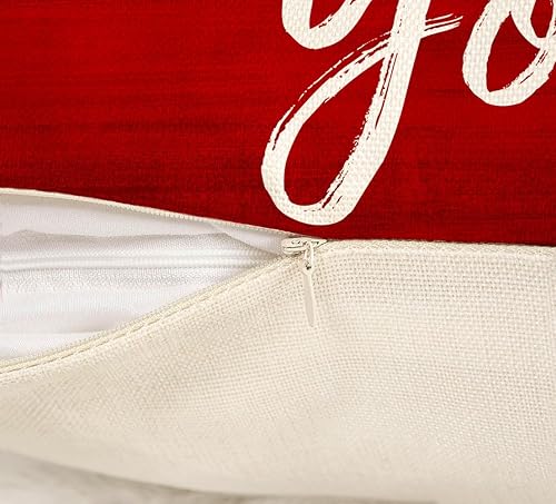 Miniatura 6 de 4TH Emotion Juego de 4 fundas de almohada para el día de San Valentín de 18 x 18 pulgadas, diseño de cuadros de búfalo primavera, funda de cojín