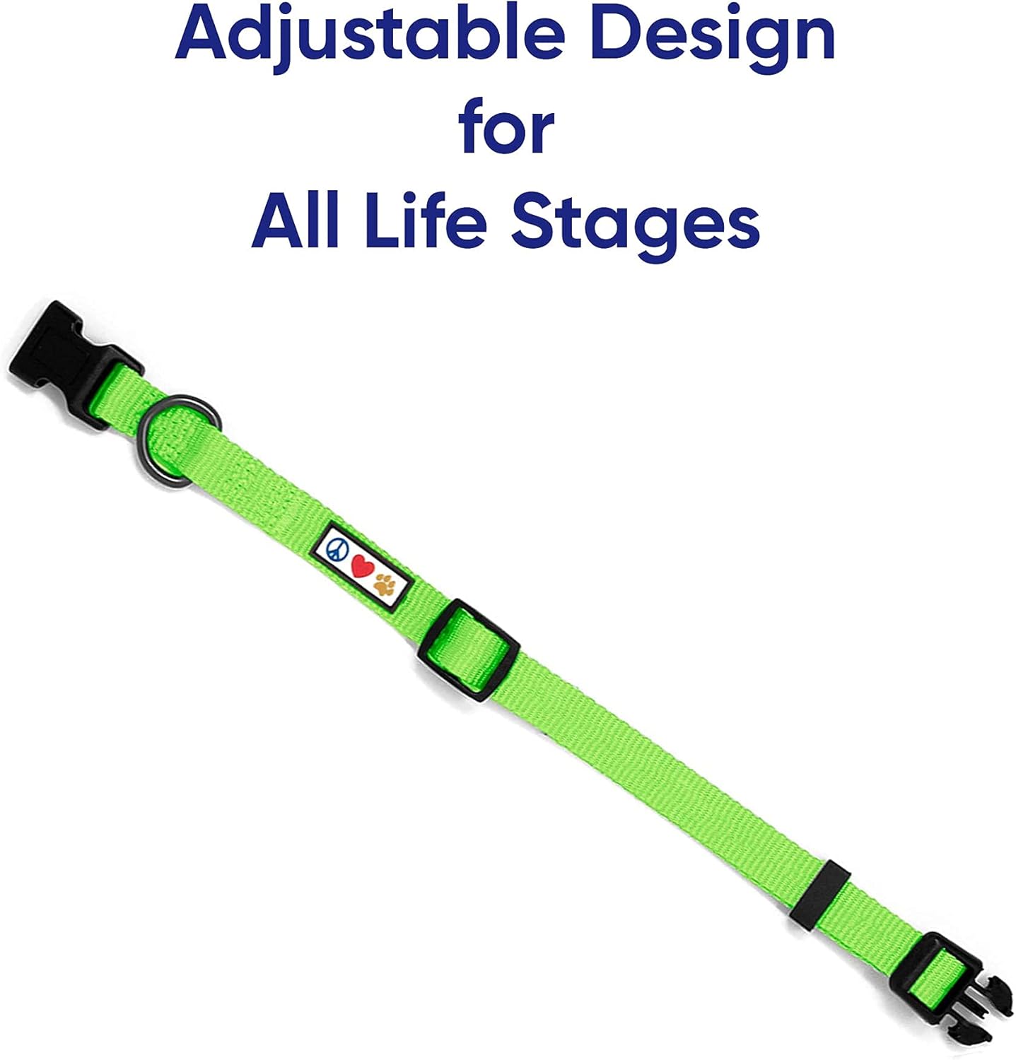 Pawtitas Value Bundle Set | Extra Small Step in Dog Harness + Extra Small Dog Collar + Extra Extra Small 6ft Dog Leash - Green Set