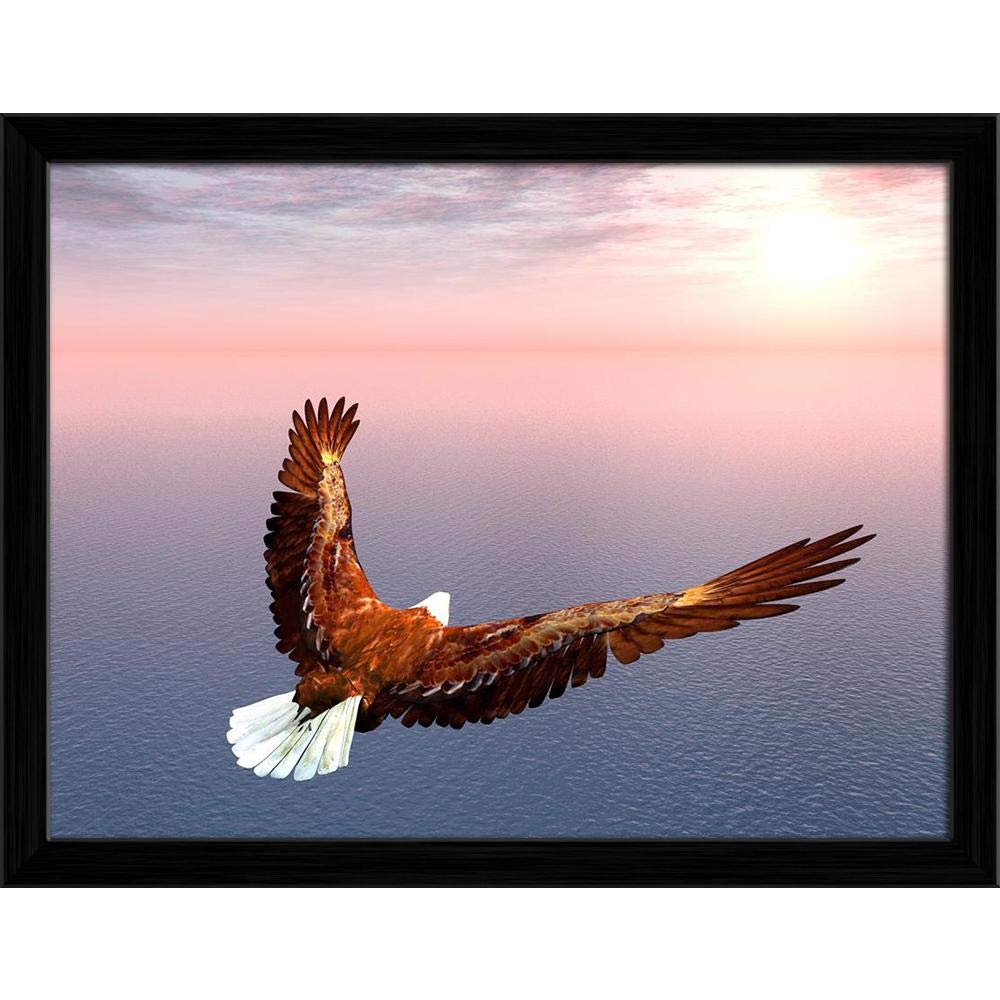 ArtzFolio Sea Eagle | Canvas Painting for Bedroom & Living Room | Black Frame | 21 x 16 inch (53 x 41 cms)