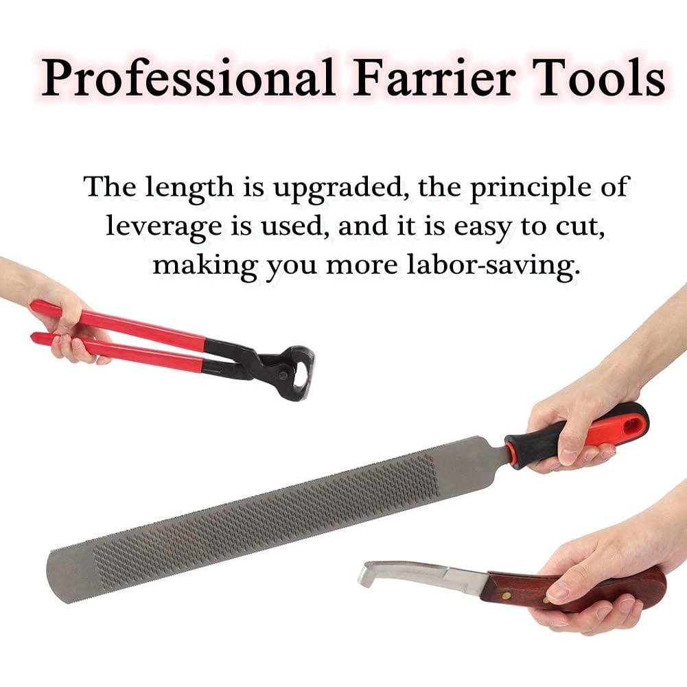 Coupe-sabot professionnel pour chevaux, kit d'outils de coupe pour