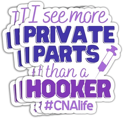 3 calcomanías con texto en inglés "I See More Private Parts Than A Hooker" para enfermera, calcomanías de CNA, certificadas por CNA, calcomanías de