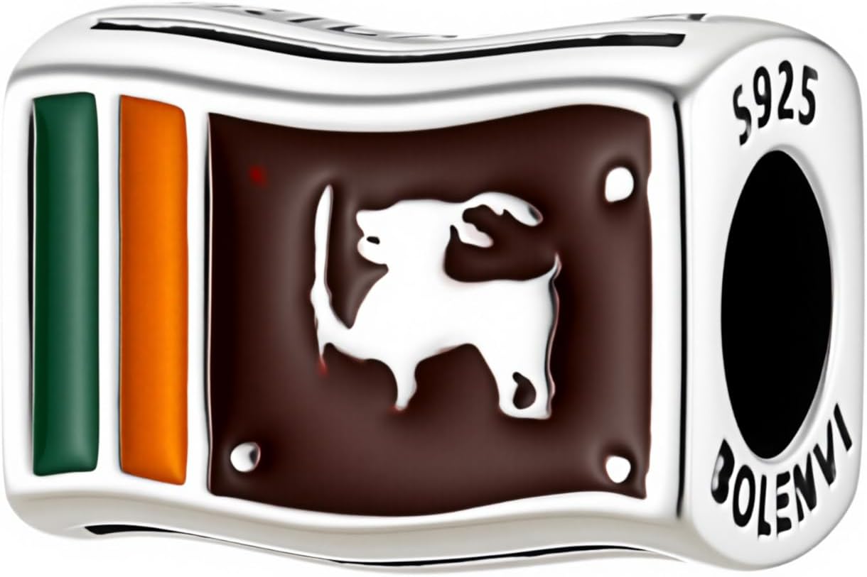 Bolenvi Flags Travel Country, Charms for Mother's Day, 925 Sterling Silver Charm Bead For Pandora & Similar Charm Bracelets or Necklaces, Jewelry For Women, Mom, Daughter