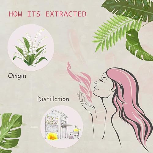 Miniatura 2 de Aceite esencial de lirio del valle, 100% puro, orgánico y natural (Convallaria majalis), aceite de lirio de valle para difusor, aroma, spa, masaje,