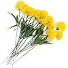 Product Photo 7