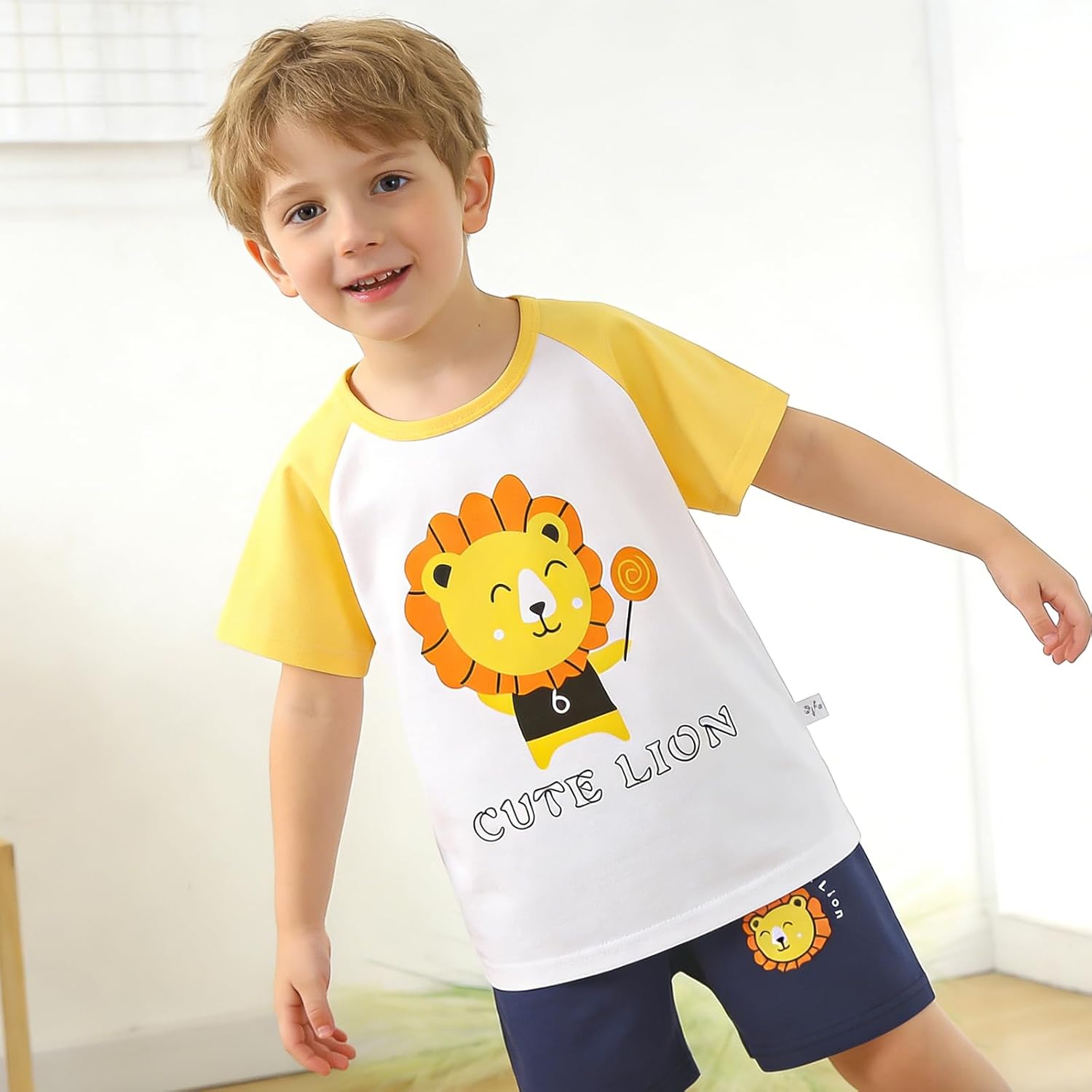 Colorful House Toddler Boys Summer Clothes Cartoon Outfit Set T-Shirt and Short for Little Kids