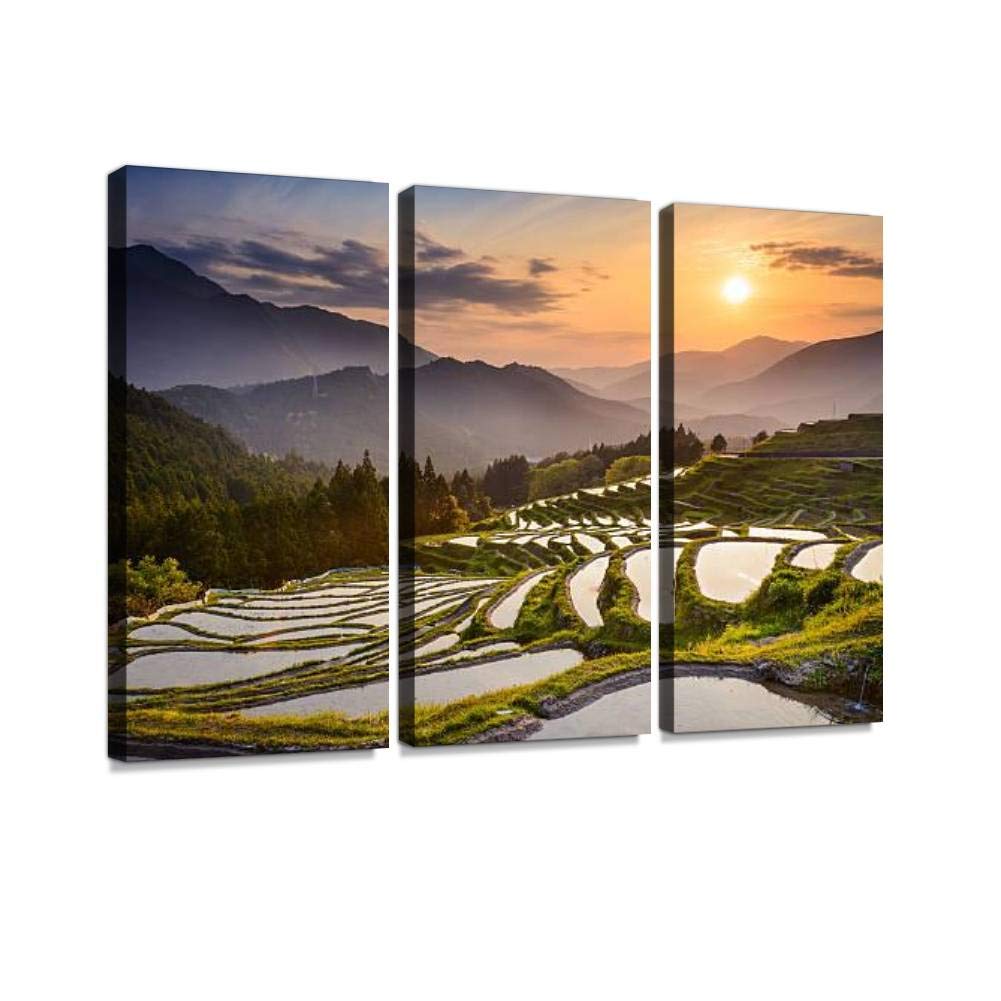 Rice terraces at Sunset Rice Paddys and Pictures Wall Artwork Exclusive Photography Vintage Abstract Paintings Print on Canvas Home Decor Wall Art 3 Panels Framed Ready to Hang