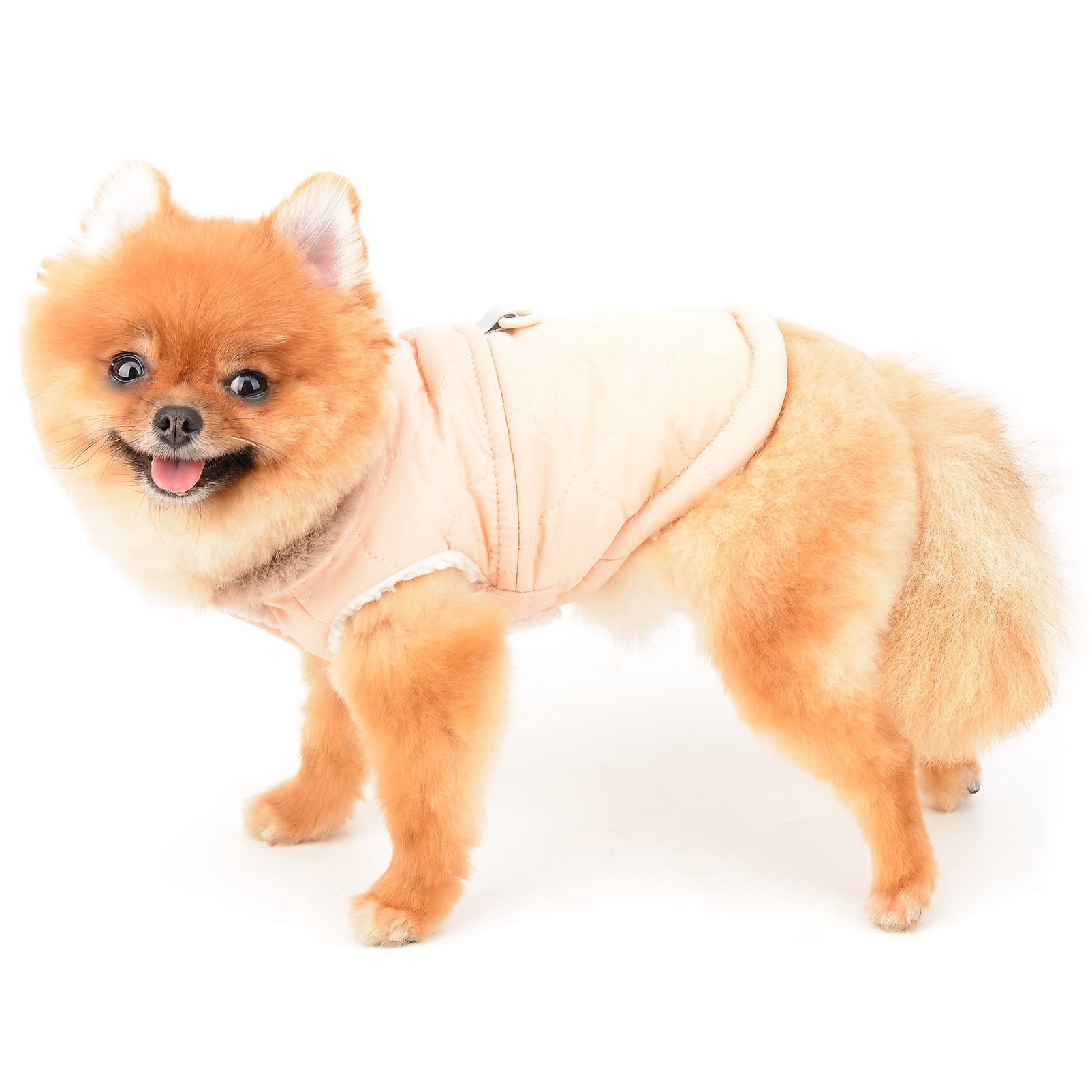 Amazon.co.jp: SAEYZ ペット服 犬 服 秋 冬 ジャケット着 袖なし防寒
