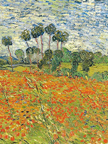 O Que é Biologia Vegetal O Que é Biologia Vegetal