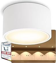 SSC-LUXon CELI-X LED Aufbauspot flach dimmbar große Leuchtfläche - Decken Aufbaustrahler rund mit LED GX53 6W warmweiß 230V