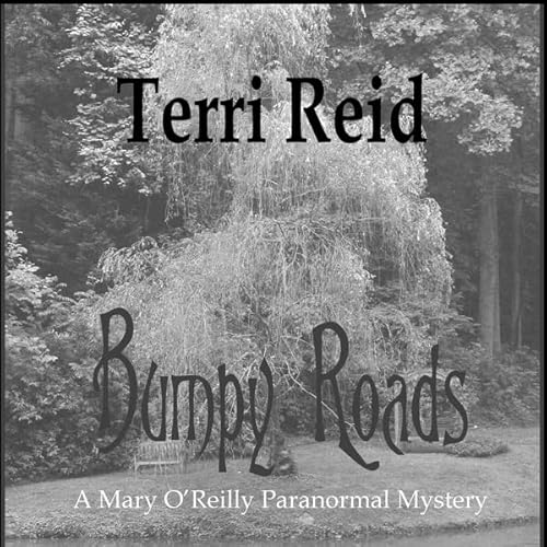 Bumpy Roads Audiolivro Por Terri Reid capa