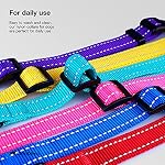CollarDirect Reflective Dog Collar for a Small, Medium, Large Dog or Puppy with a Quick Release Buckle - Boy and Girl - Nylon Suitable for Swimming (Light Blue, 14-18 Inch) - Image 7