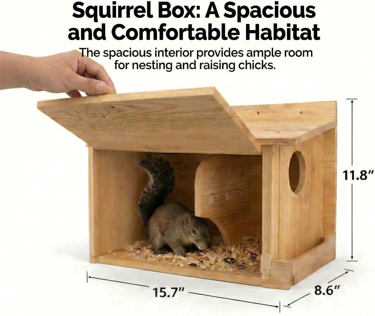 Extra Large Squirrel House (15.7 inches), Anti-Predation Squirrel Nest Box, with Squirrel Feeder, Carbonized Cedar Wood Outdoor Squirrel House, Solid Wood Backyard Wildlife Shelter