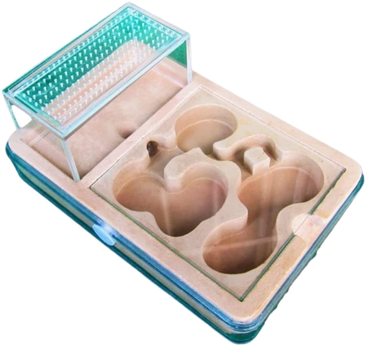 Formicarium Hormiga Castillo De Hormigas De PP para Hacer Uno Mismo, Sistema De Investigación sobre El Comportamiento De Las Hormigas, Granja De Hormigas Creativa Granja Hormigas